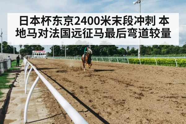 日本杯东京2400米末段冲刺 本地马对法国远征马最后弯道较量 | Kaiyun app download