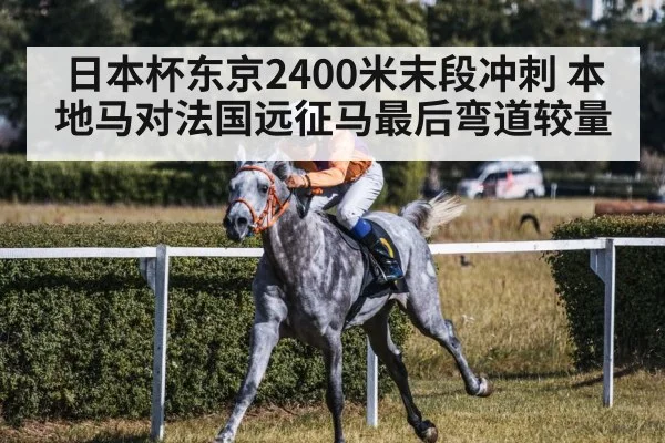 jockey riding racehorse on turf
